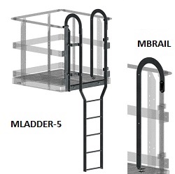 Equipment Platform Access Ladder